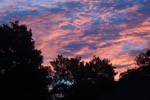 resIMG_20140926_064410_3101.JPG